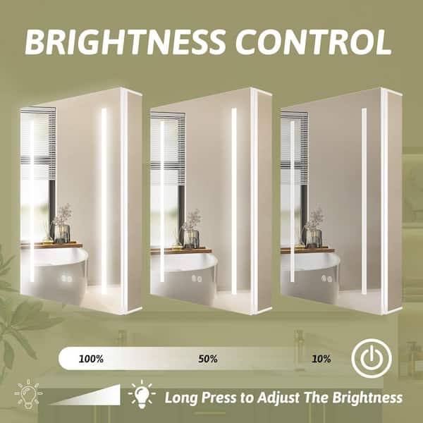 Zeafive 20 in. W x 30 in. H Recessed/Surface Mount