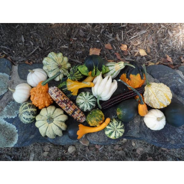 Premium Autumn Decorative Collection Bag