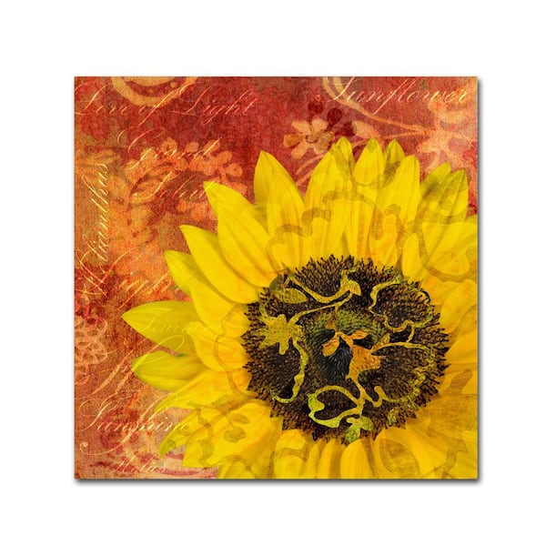 Trademark Fine Art 14 in. x 14 in. "Sunflower - Love of Light" by Cora Niele Printed Canvas Wall Art