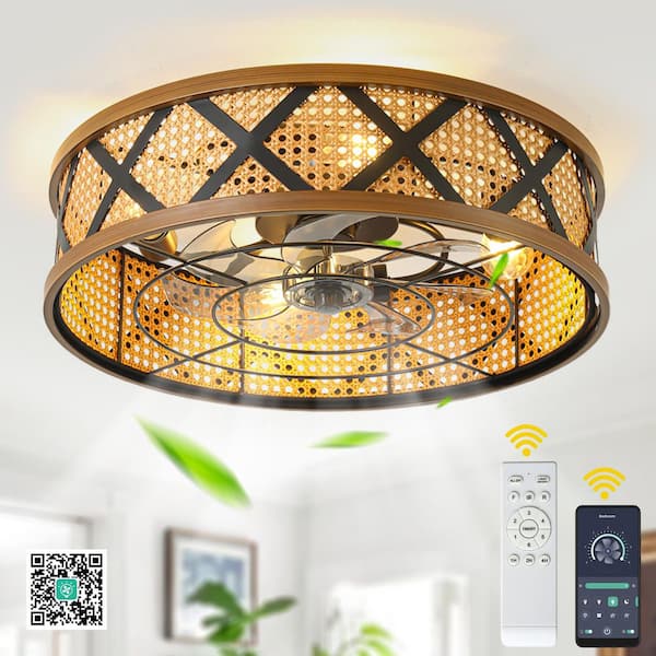 Oaks Aura Idahii 20 in. Black Fandelier Luxury Ceiling Fan with