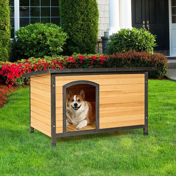extreme dog crate