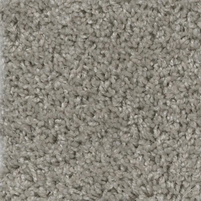 Stain Resistant Indoor Carpet Carpet The Home Depot