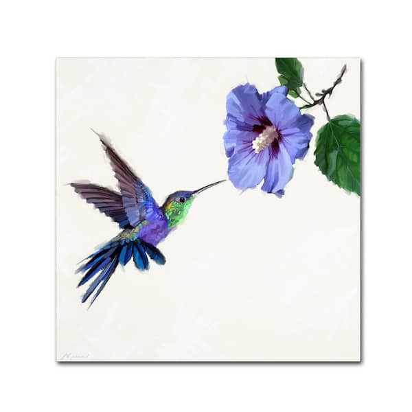 Trademark Fine Art 18 in. x 18 in. "Humming Bird" by The Macneil Studio Printed Canvas Wall Art