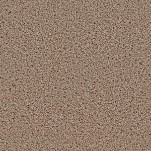 TrafficMaster 8 in. x 8 in. Texture Carpet Sample - Toulon - Color Spanish Moss