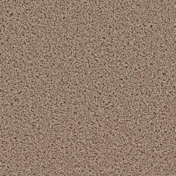 TrafficMaster 8 in. x 8 in. Texture Carpet Sample - Added Value -Color Accent