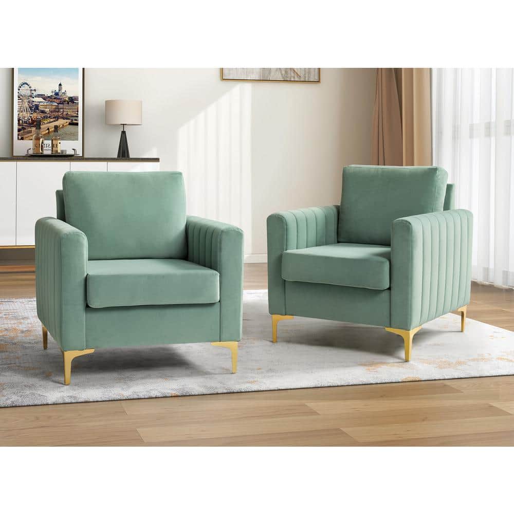JAYDEN CREATION Ennomus Modern Sage Polyester Club Chair Arm