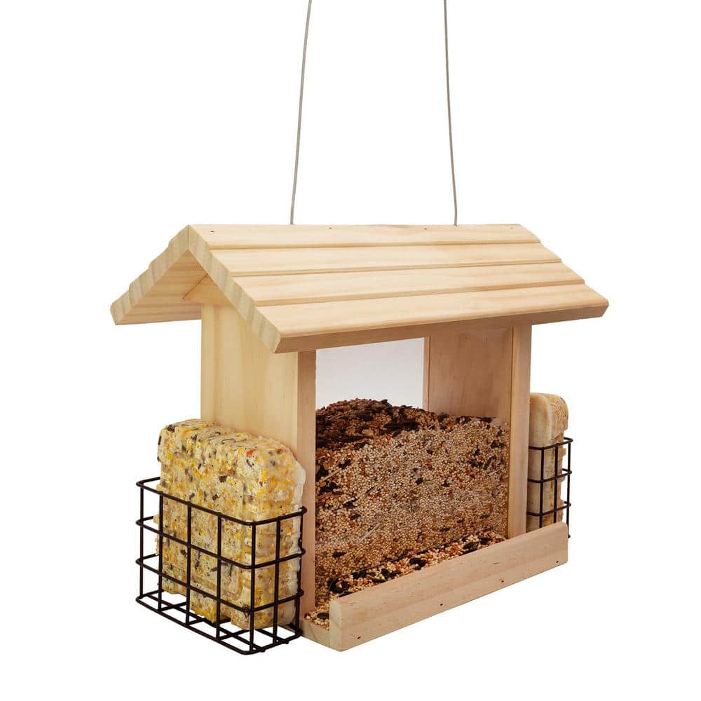 Impeccable Suet and Wild Bird Feeder
