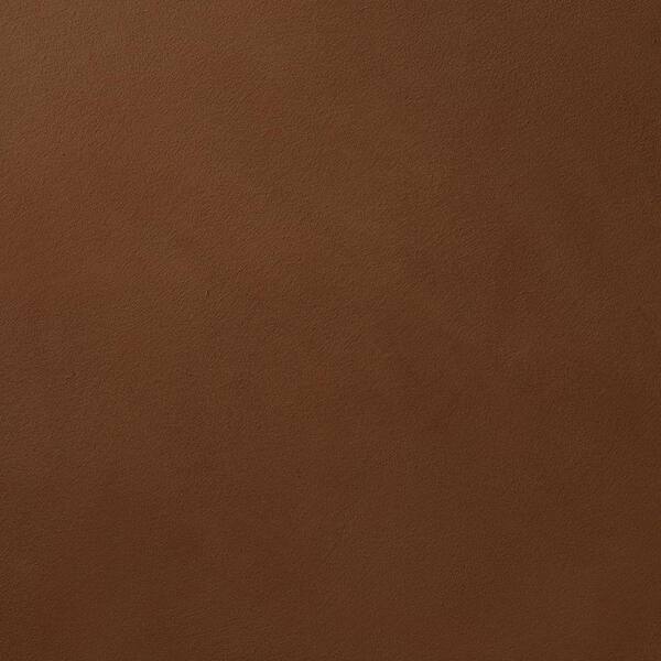 Ralph Lauren 13 in. x 19 in. #SU109 Zuni Basin Suede Specialty Paint Chip Sample