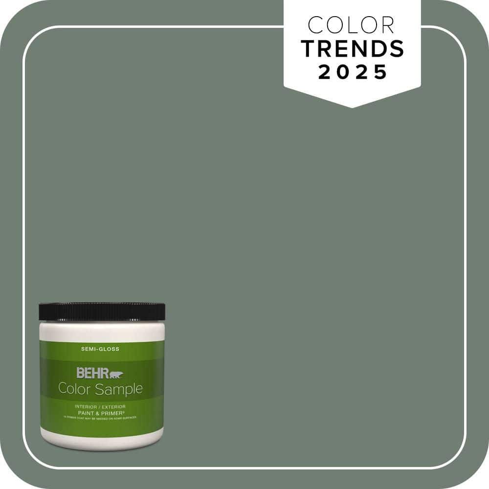 8 oz. #N420-5 Boreal Semi-Gloss Interior/Exterior Paint & Primer Color Sample price history on PriceWatchPro