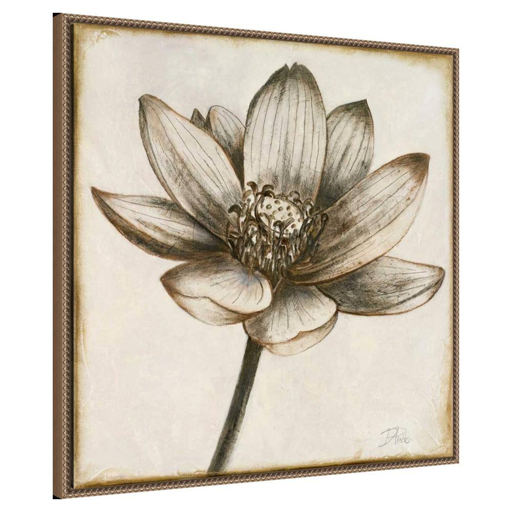 Sepia Lotus Blossom II 30" x 30" Beaded Framed Canvas Wall Art