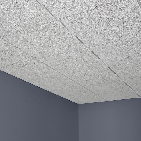 2 ft. x 2 ft. Glacier White Fineline Edge Lay-In Ceiling Tile, case of 8 (32 sq. ft.)