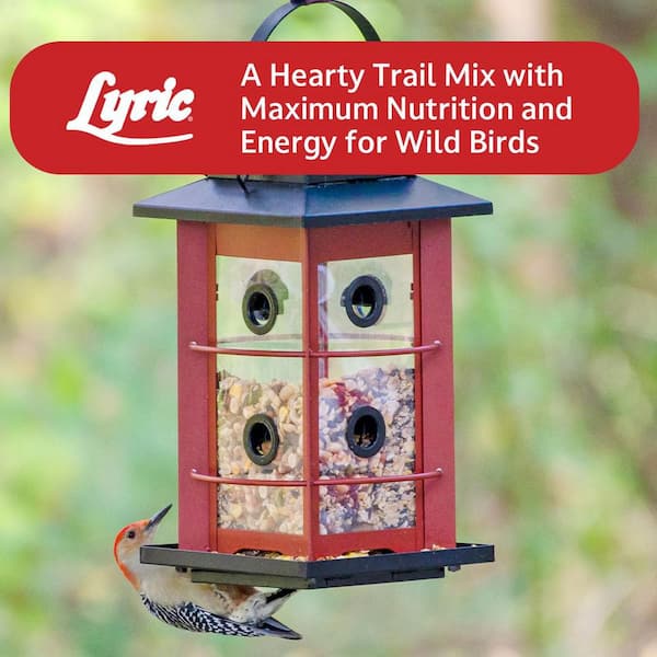 Greenview Lyric Cibo Per Uccelli Selvatici Chicadee Mix 9,1 Kg - Con Semi Di Girasole E Arachidi