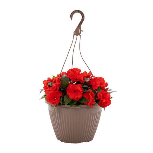 Vigoro 1.75 Gal. New Guinea Impatiens Rollercoaster Red Racer in