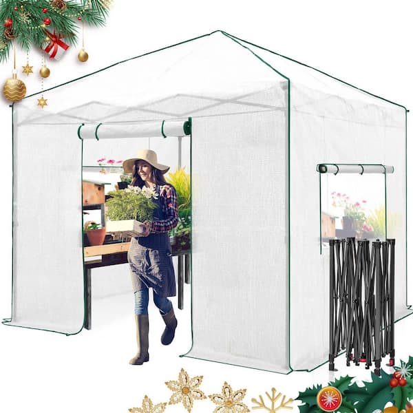 10 ft. W x 10 ft. D Portable Walk-In Pop-Up Gardening Instant Greenhouse Canopy, White