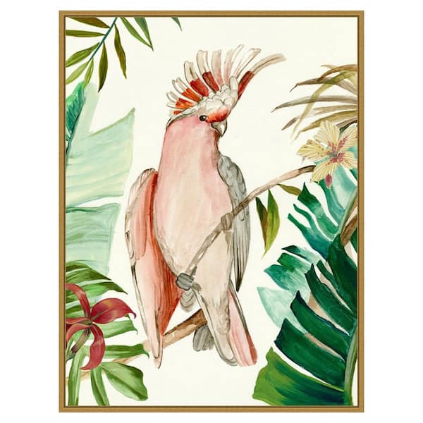 Amanti Art Tropical Bird I by Aimee Wilson 1 Piece Floater Frame Canvas Giclee Animal Art Print 42 in. x 32 in.