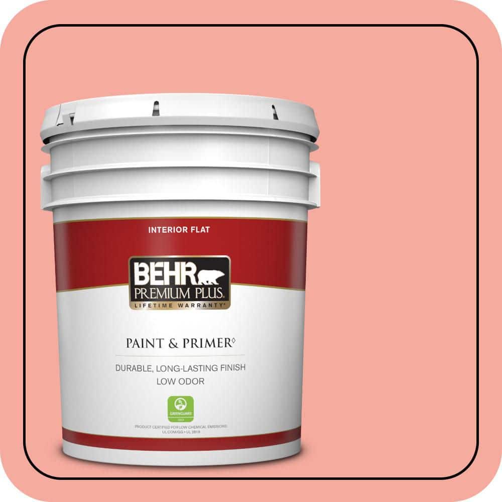 5 gal. #190D-4 Rosy Outlook Flat Low Odor Interior Paint & Primer price history on PriceWatchPro