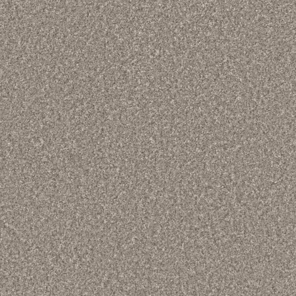 8 in. x 8 in. Texture Carpet Sample-Gentle Glimmer II-Color Radiant price history on PriceWatchPro