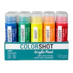 2 oz. 10-Color Rainbow Craft Paint Set