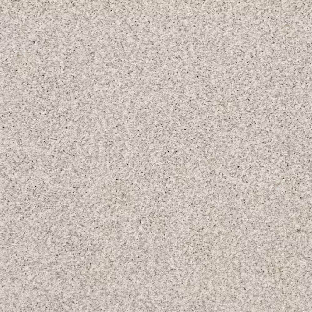 8 in. x 8 in. Texture Carpet Sample-Magalynn I-Color Putty price history on PriceWatchPro