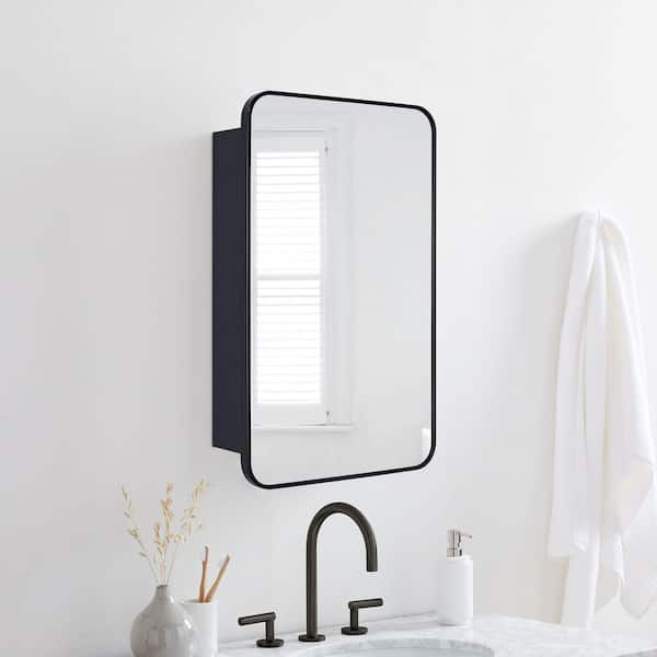 TEHOME Garnes 24 in. W x 30 in. H Rectangular Recessed or Surface Mount Metal Framed Medicine Cabinet with Mirror in Black