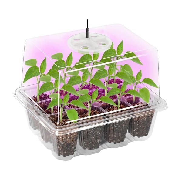 5 Pack Clear Plastic Seed Starter Tray, Elevated Seedling Starter Trays Kits with Adjustable Humidity Domes Grow Light