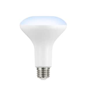 65-Watt Equivalent BR30 Dimmable LED Light Bulb Daylight (6-Pack)