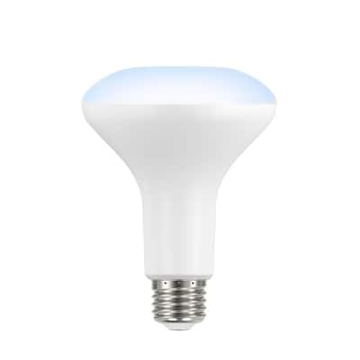 Flood and Spot Light Bulbs