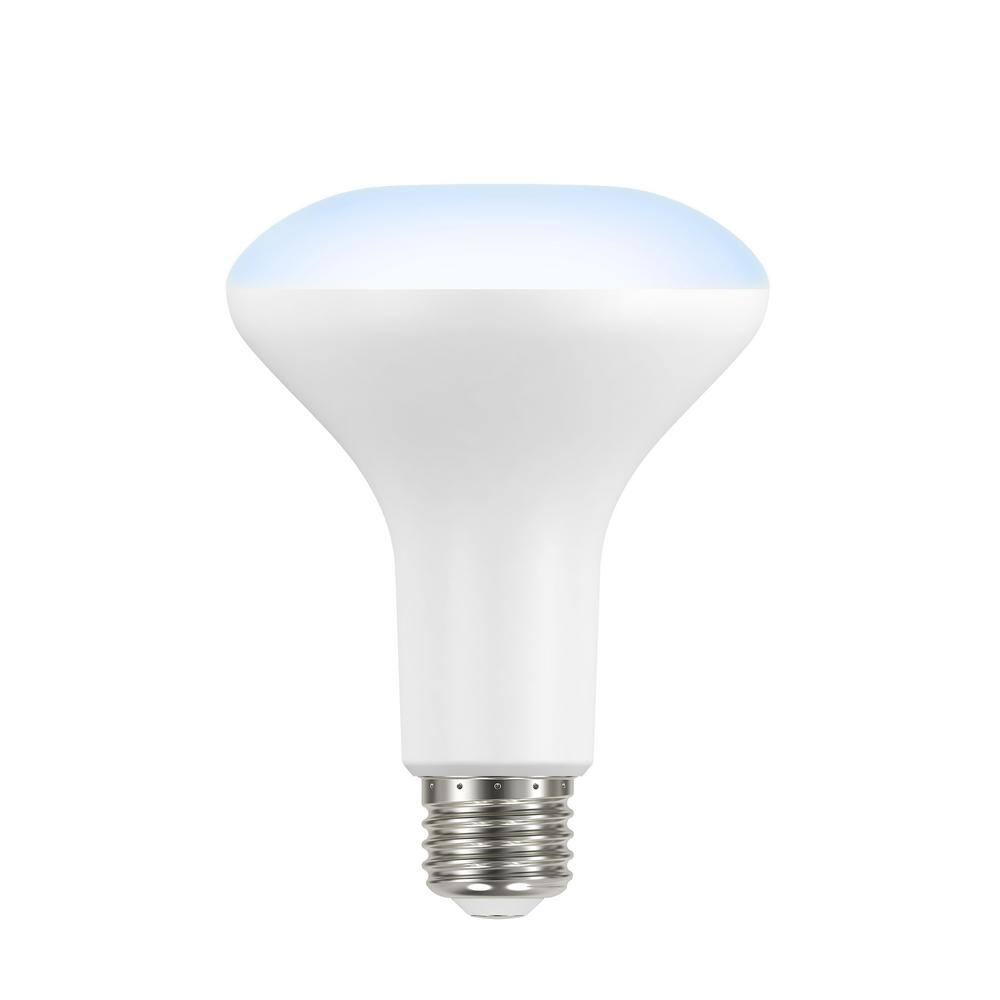 ecosmart light bulbs 65w