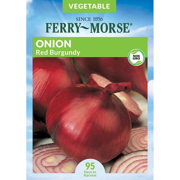 Ferry-Morse Onion Red Burgundy Vegetable Seed