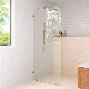 34 in. W x 78 in. H Fixed Single Panel Radius Frameless Shower Door in Brushed Bronze with Clear Glass