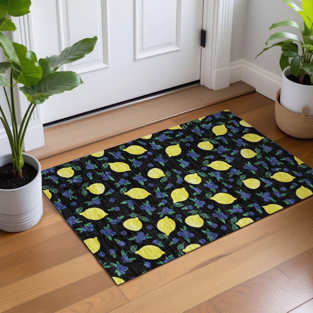 Chantille Machine Washable Indoor/Outdoor Abstract ACN2354 Black 2 ft. x 3 ft. Accent Rug price history on PriceWatchPro