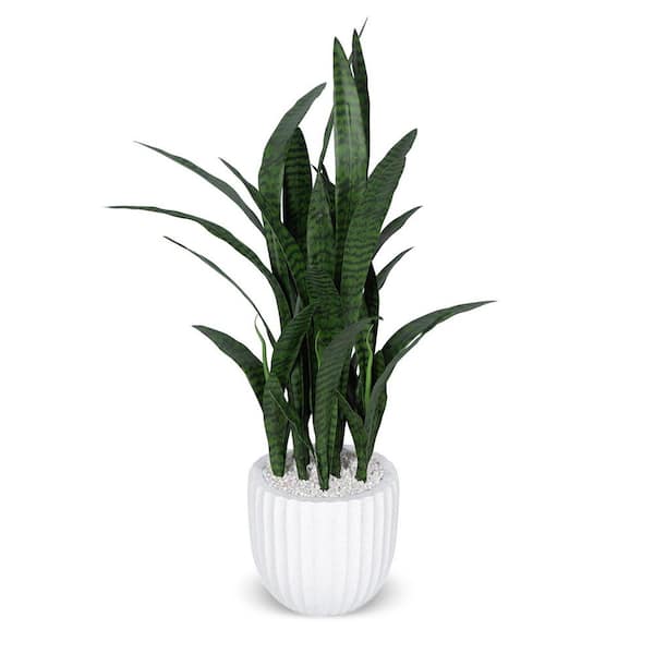 Unbranded Botanical 3.9 ft. Artificial Sansevieria in Pot