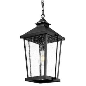 20 in. 1-light Black Finish Outdoor Pendant Light with Seeded Glass and No Bulbs Included