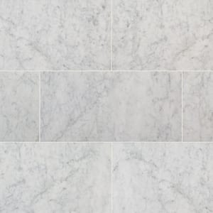 Carrara White 12 in. x 24 in. Polished Marble Floor and Wall Tile (12 sq. ft./Case)