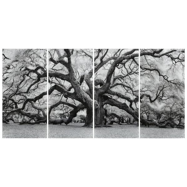 Empire Art Direct The Angel Oak ABCD Frameless Free Floating Tempered Glass Panel Graphic Tree Wall Art Set of 4, each 72 in. x 36 in.