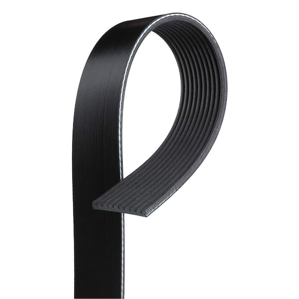 Standard Serpentine Belt - Fan