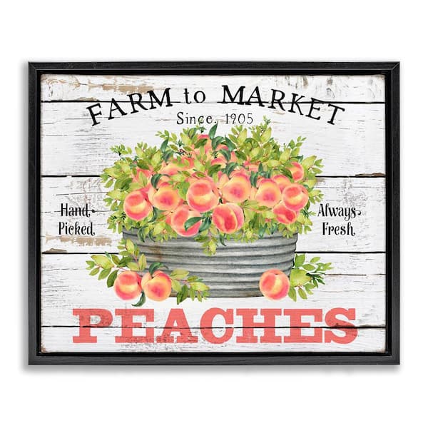 Stupell Industries Farm To Market Peaches by Creatif Belle Black Floater Frame Food Graphic Art Print 17 in. x 21 in.