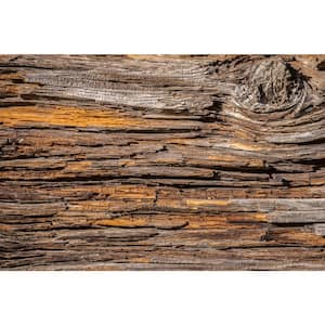 Industrial Tree Bark Farm and Country Wall Mural