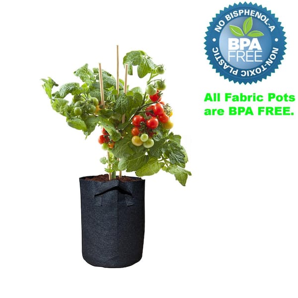 BloomBagz Aeration SMART Fabric Planter POT Bag with Handles 2 Gal FREE SHIPPING 
