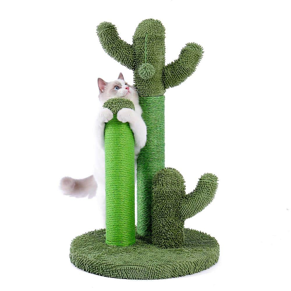 Cactus cat scratch sales post