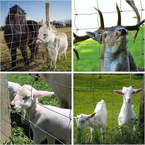 Unbranded - 4 ft. x 164 ft. 14 Gauge Galvanized Heavy Metal Wire Fence Snake Fencing Deer Fence Goat Fence