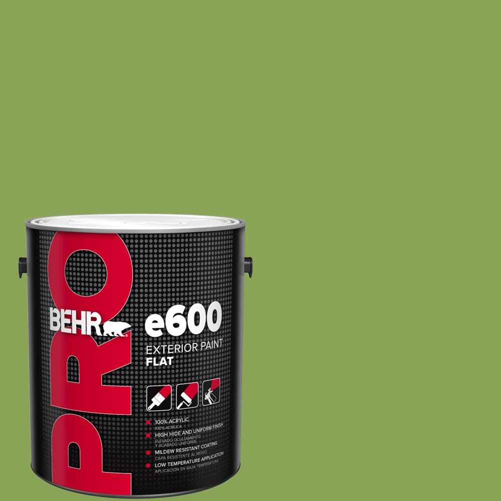 1 gal. #P370-6 Salamander Flat Exterior Paint price history on PriceWatchPro