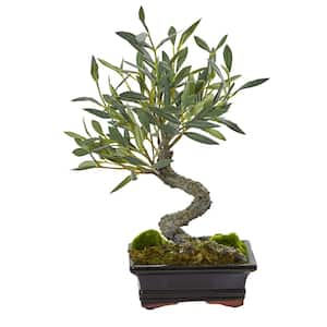 Mini Indoor Olive Artificial Bonsai Tree