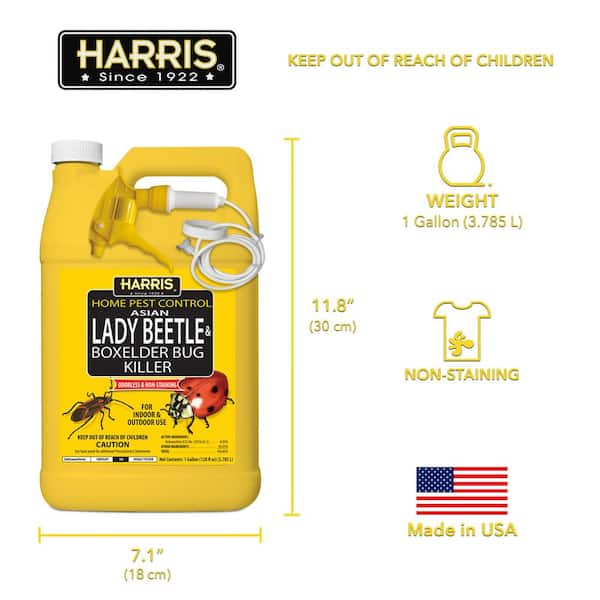 Harris 1 Gal. Asian Lady Beetle and Box-Elder Bug Killer HBXA-128 - The  Home Depot