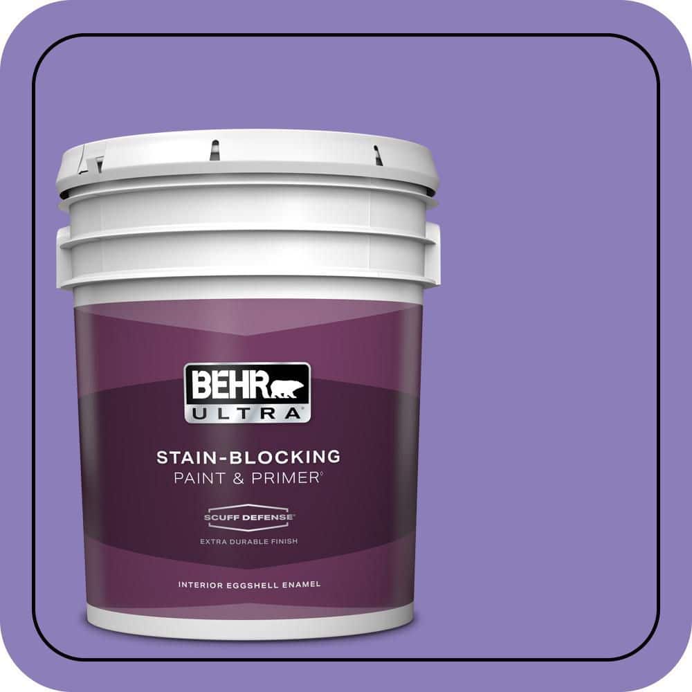 5 gal. #P560-5 Unimaginable Extra Durable Eggshell Enamel Interior Paint & Primer price history on PriceWatchPro