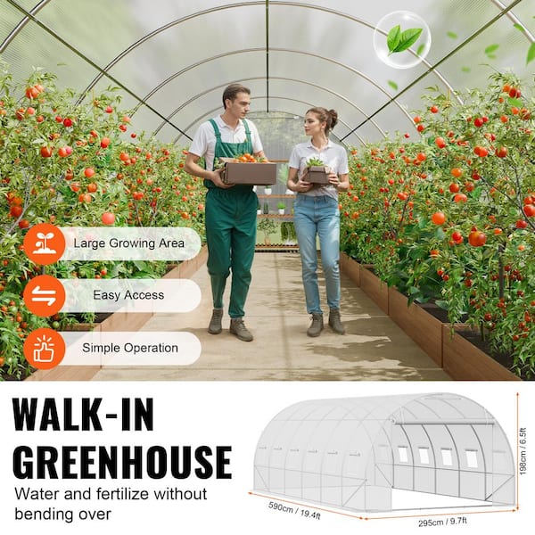 VEVOR Walk-in Tunnel Greenhouse 19.4 x 9.7 x 6.5 ft. Hoop