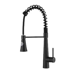 Single Handle Pull Down Sprayer Kitchen Faucet with Magnetic Docking Spray Head in Matte Black