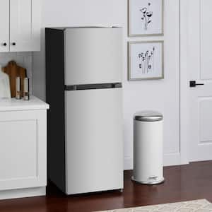 10.1 cu. ft. Top Freezer Refrigerator in Stainless Steel