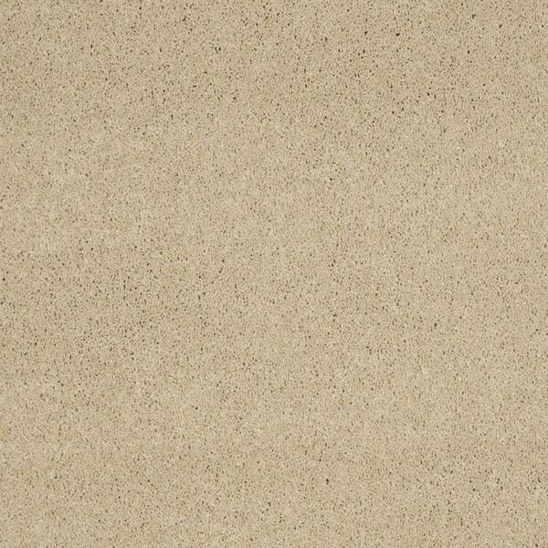 SoftSpring Carpet Sample - Miraculous I - Color Warm Coffee Texture 8 in. x 8 in.