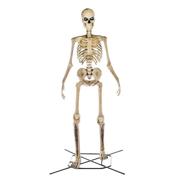 Photo 1 of **damaged ** Home Accents Holiday 12 FT Tall Giant Sized Skeleton with Animated LCD Eyes Halloween Prop